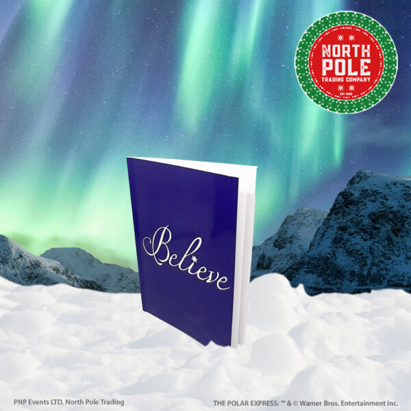 Believe - The Collection - Image 2