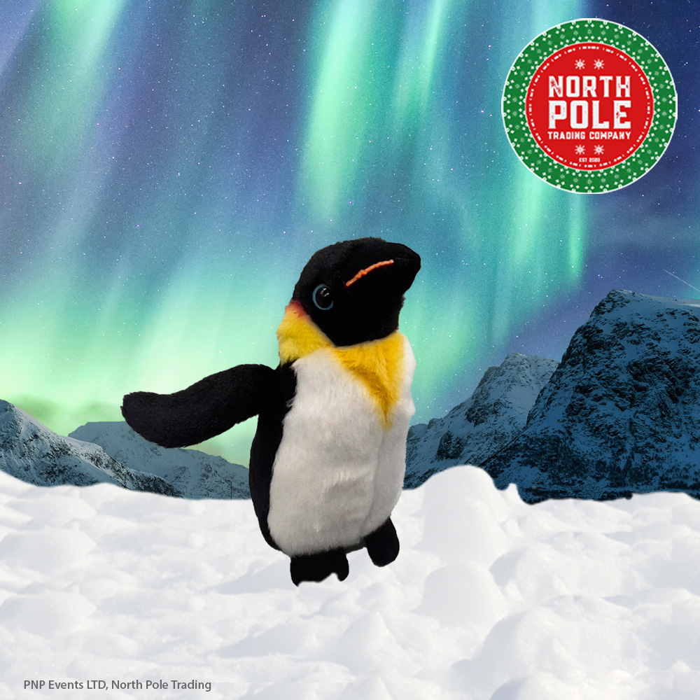 Cuddly Penguin side looking right