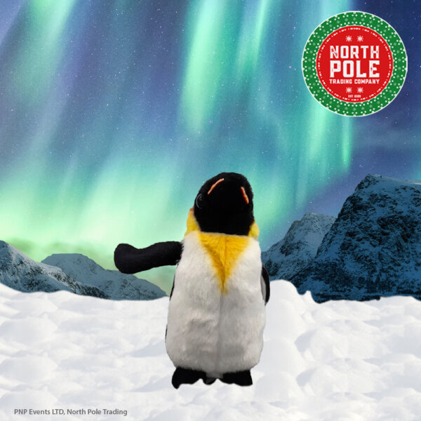 Cuddly Penguin looking forward