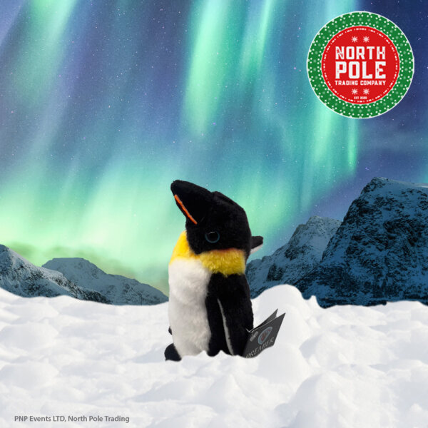 Cuddly Penguin looking Left