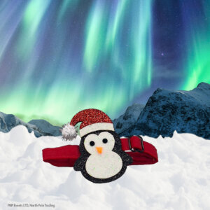 Penguin – Cat Collar front