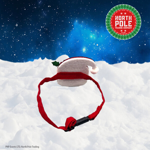 Santa Face Collar - back standing up