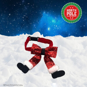 Santa Trousers Collar Front