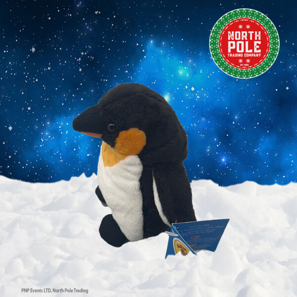 Emperor Penguin looking left